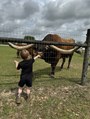 Gentle giant 50 Amp with a little farm visitor