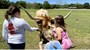 Jazzy getting some attention from some young visitors